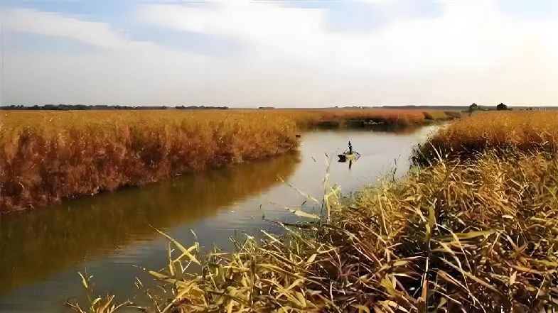 履帶式雙節(jié)森林草原(蘆葦)消防滅火全地形車